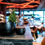 Ξενοδοχείο Stockinggut By Avenida Leogang
